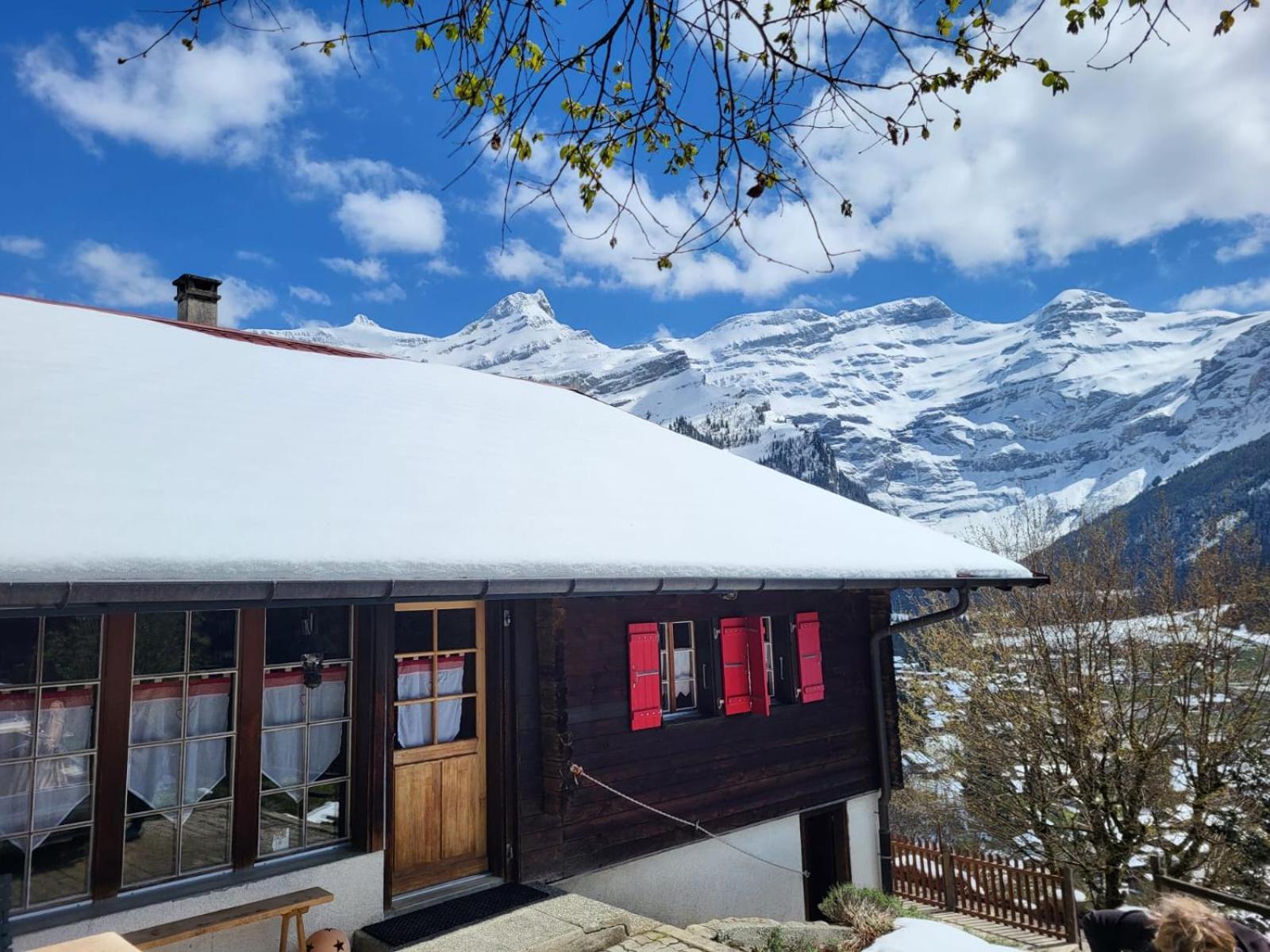 Appartement Les Fleurettes à Les Diablerets Extérieur photo