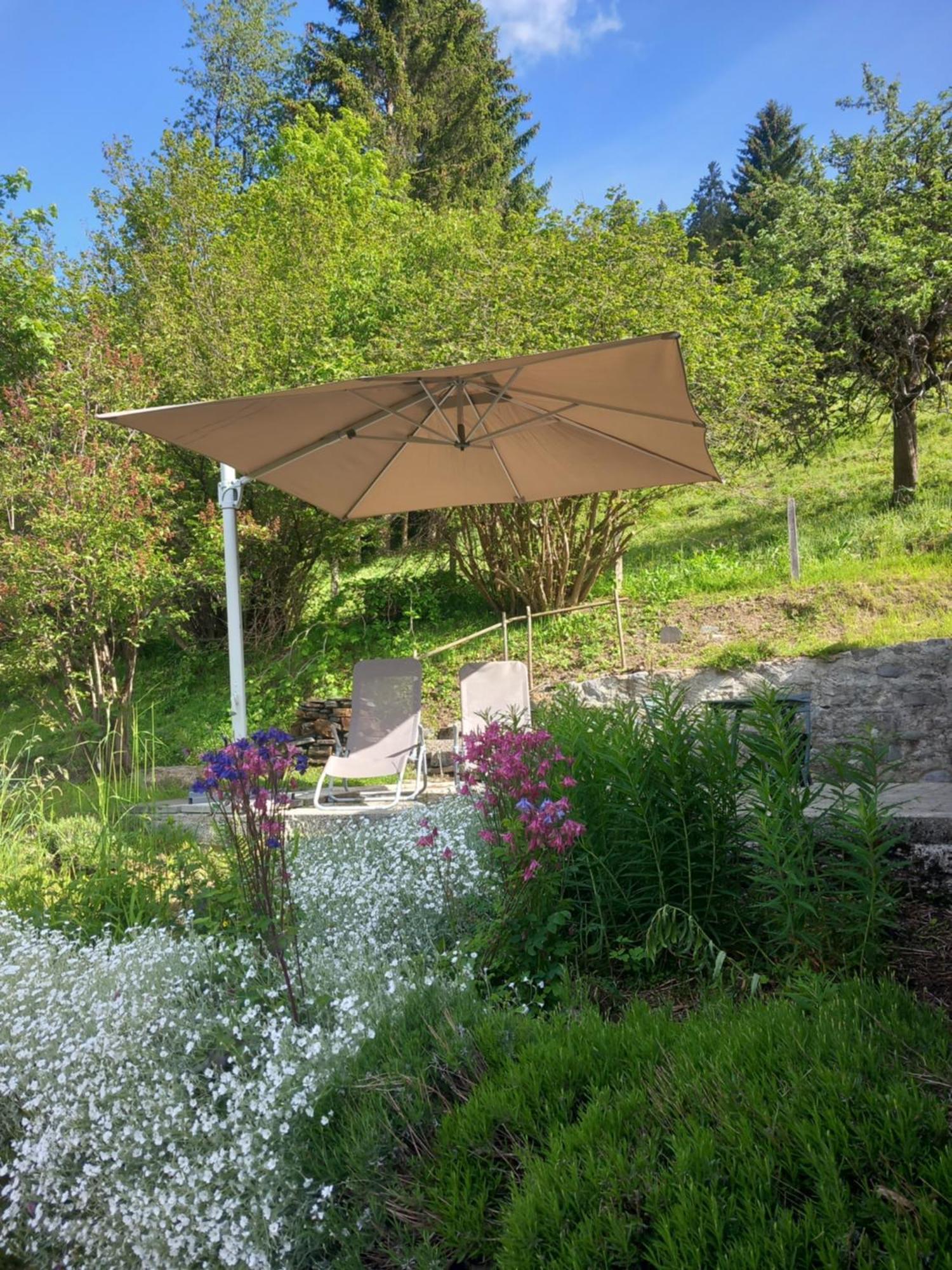 Appartement Les Fleurettes à Les Diablerets Extérieur photo